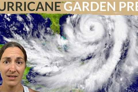 How To Prepare a Garden for Hurricane + Post Hurricane Garden Care