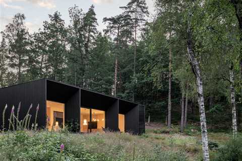 Rhythmic Black Timber Makes This Swedish Cabin Pop Against Its Surroundings