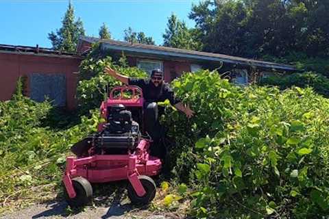 I CUT the MOST OVERGROWN LAWN in THE U.S.A. and THIS HAPPENED (LAWN CARE TOUR)