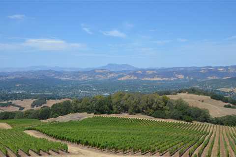 7 Beautiful Places to Go In Santa Rosa That Locals Rave About