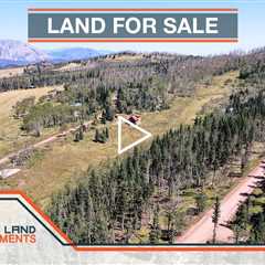 Treed Mountain Land For Sale in Colorado, Adjacent Lots, Common Land