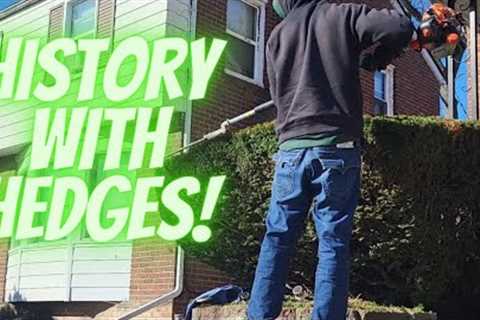 Spring time Hedges!🌞With a story [One year ago]🗓 #doing #hedges #springtime #lawncare