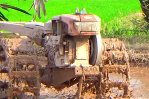 Modern Agriculture Machines - prepare nursery for rainy season rice farming  #countrylifevlog