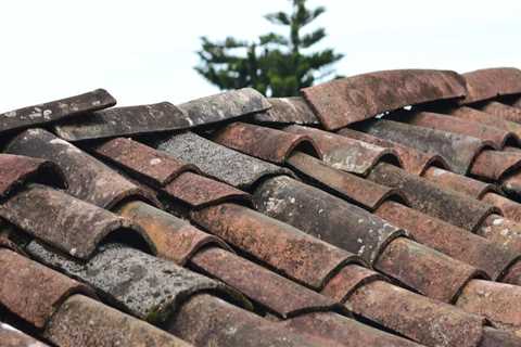 What To Do If You Find Damage To Your Roof After Buying A Home In Columbia