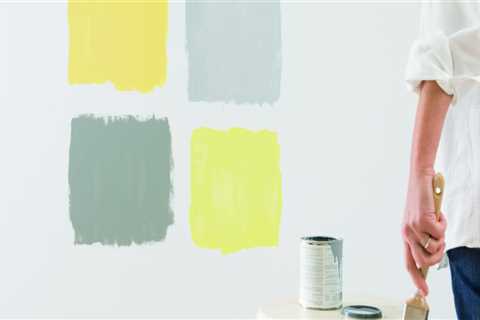 What type of paint do professional painters use?