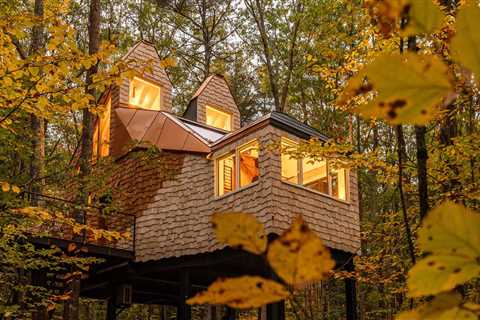 A Fox-Shaped Tree House Came to Her in a Dream. So, She and Her Husband Spent Years Building It