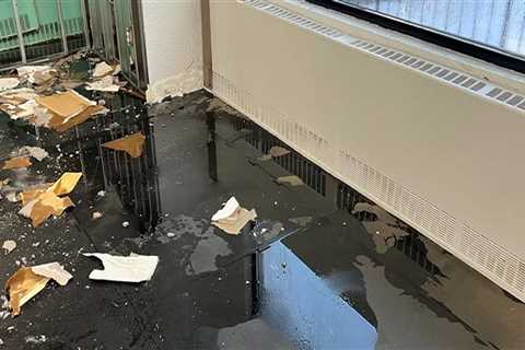 When Disaster Strikes: Water Damage Restoration Service For Green Homes Emergencies In Vancouver