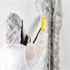 Preparing For A Successful Remodel: The Importance Of Mold Removal In Philadelphia