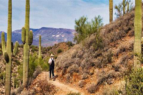 Exploring the Great Outdoors: Top Outdoor Activities in Maricopa County, Arizona