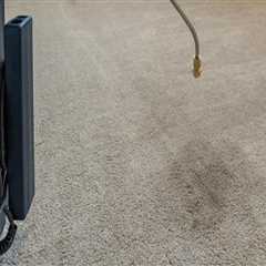 Enhancing Your Manufactured Home: The Role of Carpet Cleaning For A Fresh Start In Boise