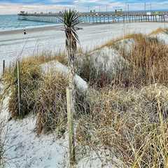 Exploring Properties with Ocean or Sound Views in Northeastern North Carolina