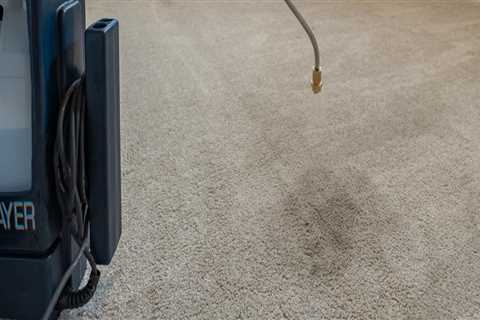 Enhancing Your Manufactured Home: The Role of Carpet Cleaning For A Fresh Start In Boise