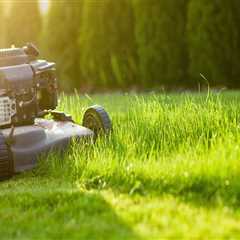 When should lawn care start?