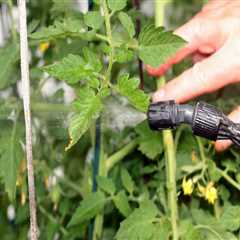 What is in organic pest control?