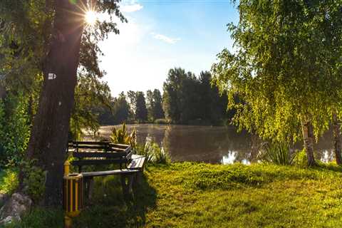 Maximize Your Green Home's Potential With Expert Tree Care In Kalamazoo