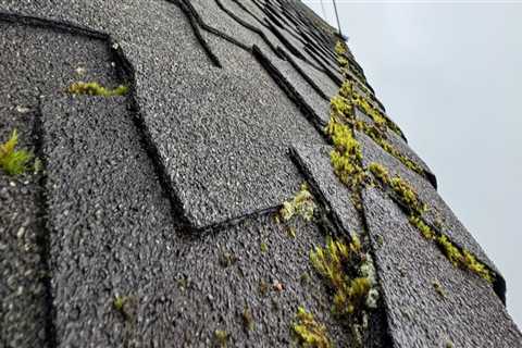 Preserve Efficiency And Comfort: Roof Repair For Green Homes In Monroe