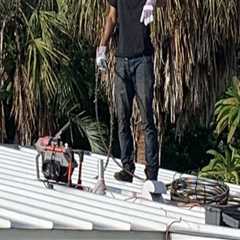 Raising The Bar: Tree Services In Pembroke Pines That Increase Residential Appraisals