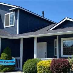 Why Professional Boise Painters Are Worth the Investment