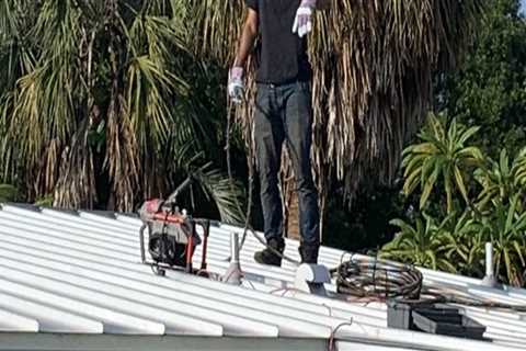 Raising The Bar: Tree Services In Pembroke Pines That Increase Residential Appraisals