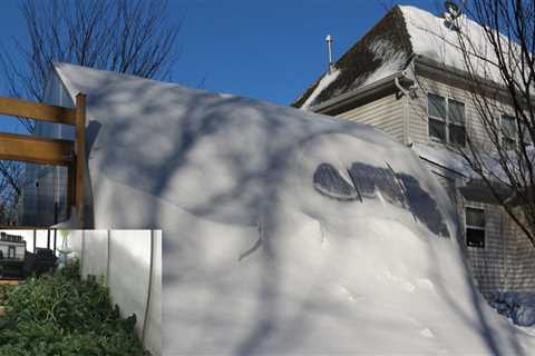 From Dust To Dollars: How Expert Residential Housekeeping In Winter Garden Impacts Home Appraisal..