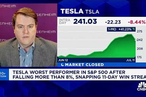 Hard to justify Tesla''s valuation without robotaxis, says Guggenheim''s Ronald Jewsikow
