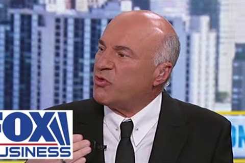 O’Leary sends cheeky message to Kamala Harris: It’s time for a ‘new and exciting job’