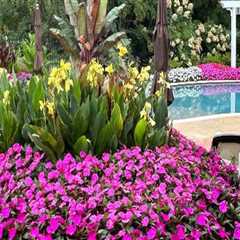 Top Benefits Of Yard Service For Senior Living Communities In Damascus, OR