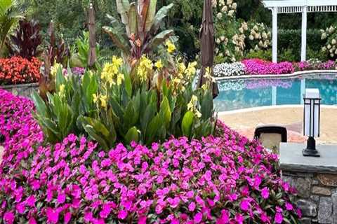 Top Benefits Of Yard Service For Senior Living Communities In Damascus, OR