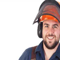 Why Is A Tree Removal Essential For Your Home Remodel Project In Kalamazoo, Michigan?