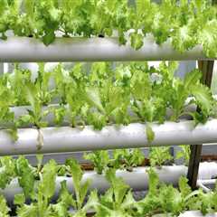 Boost Your Home's Value: How Hydro Jetting Services Can Help Enhance Your Property Before Selling..