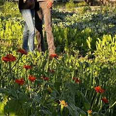 The Challenges of Rural Enterprises in Northwest Florida