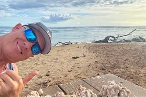 Maui Live Cam | Update Lahaina West Side Maui August 2025
