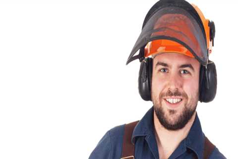 Why Is A Tree Removal Essential For Your Home Remodel Project In Kalamazoo, Michigan?
