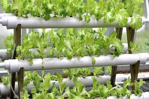 Boost Your Home's Value: How Hydro Jetting Services Can Help Enhance Your Property Before Selling..