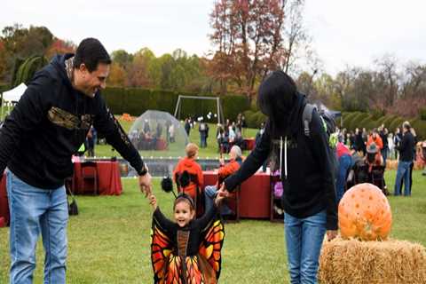 Discovering the Vibrant Festivals and Events in Southern Maryland
