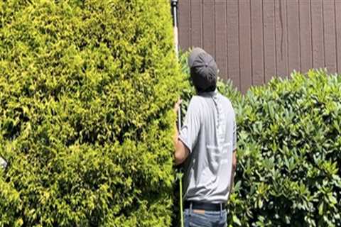 Let The Light In: Window Cleaning Service That Elevate Newly Constructed Manufactured Homes In..