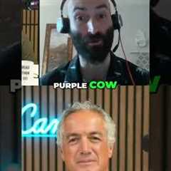 Flamingo Guy: A Real Estate Branding Story #shorts