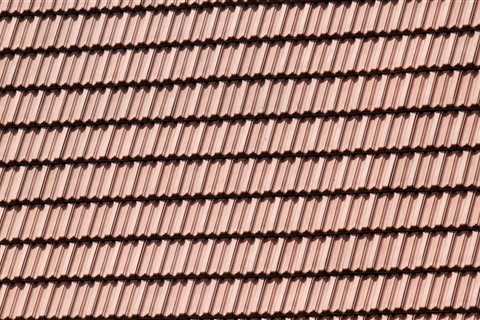 Enhance Curb Appeal with Expert Roof Maintenance in Fort Worth