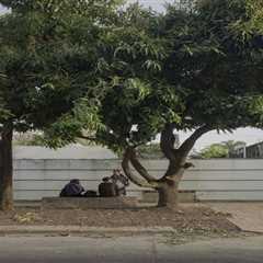 A 1950s Home in Argentina Is Now a Live/Work Community for Five Friends
