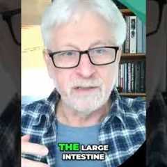 Inflammation Location Indicates Gut Issues #shorts