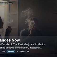 Puff, puff, pass? The cloudy legality of marijuana in Mexico