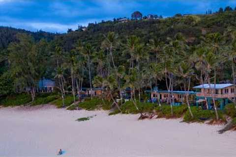 Paradise Found! - Tracy Allen - Coldwell Banker Realty - Hawaii Real Estate