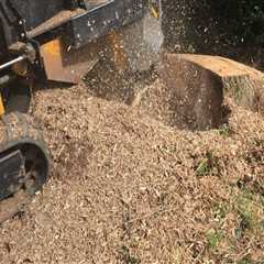 Stump Grinding Cost in Damascus, OR: What Home Sale Listing Agents Want Sellers to Know