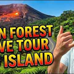 Fern Forest Drive Tour 🌿 Big Island Hawaii Rainforest Living (Puna Real Estate)