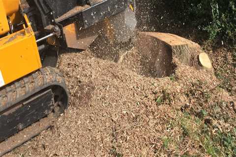 Stump Grinding Cost in Damascus, OR: What Home Sale Listing Agents Want Sellers to Know