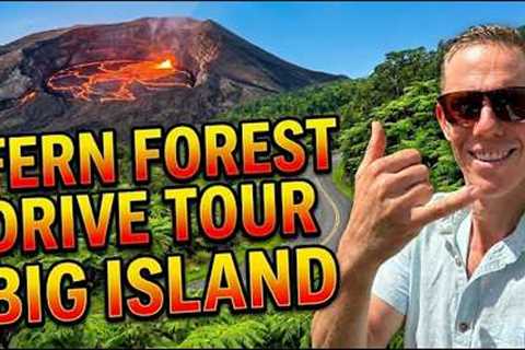 Fern Forest Drive Tour 🌿 Big Island Hawaii Rainforest Living (Puna Real Estate)