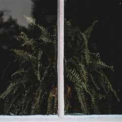 Boost Your Home's Value with Professional Window Installation