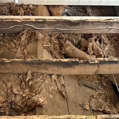 Protect Your Manufactured Home with Water Damage Restoration