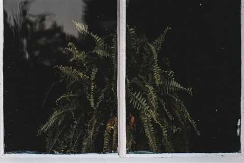 Boost Your Home's Value with Professional Window Installation