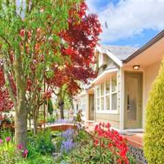 Enhance Your Curb Appeal with Expert Tree Care in Philadelphia